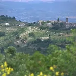 Umbria Nel Cuore Daire Cannara
