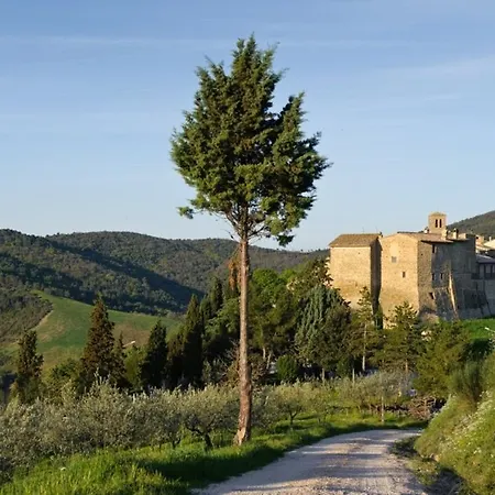 Umbria Nel Cuore Cannara